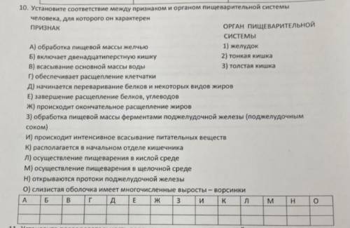 Установите соответствие между признаком и органом пищеварительной системы человека, для которого дан