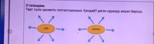 2-тапсырмаТөрт түлік қасиетін топтастырыңыз. Қандай? Деген сұраққа жауап беріңіз. ​