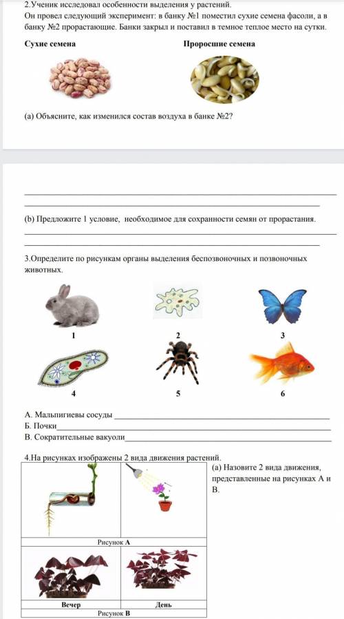 Сор по биологий 7 класс 3 четверть