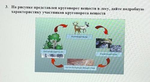 На рисунке представлен круговорот веществ в лесу Дайте подробную характеристику участников круговоро