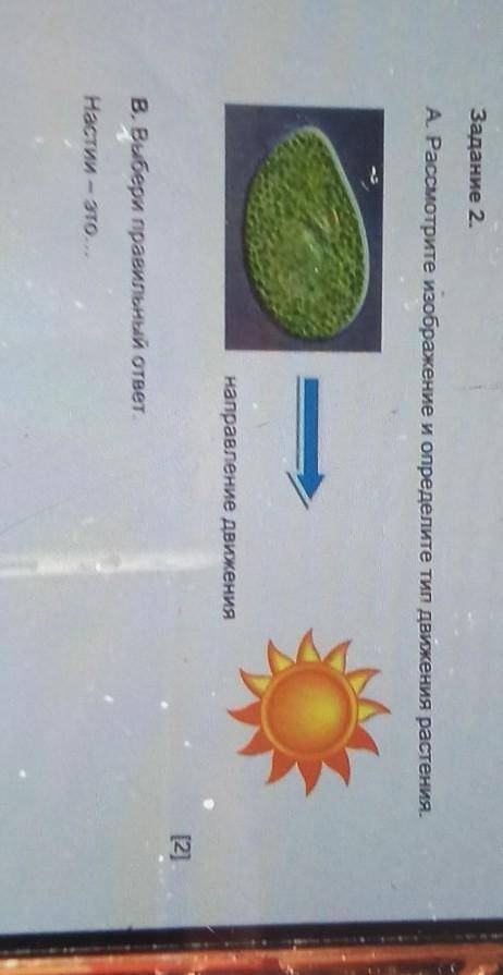 Задание 2. A Рассмотрите изображение и определите тип движения растения.направление движения[2]В. Вы