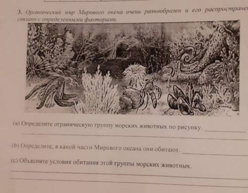 Органический мир Мирового океана очень разнообразен и его распространение связано с определенными фа