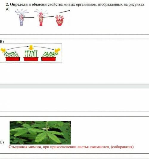 помигите сор 2. Определи и объясни свойства живых организмов, изображених на рисунках​