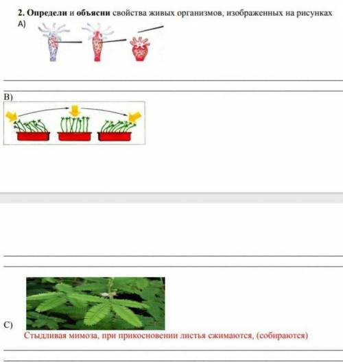 помигите со,умоляяяюю 2. Определи и объясни свойства живых организмов, изображених на рисунках​