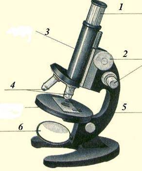 у меня СОР Определите под какими номерами указаны окуляр и обьектив? Напишите три правила с микроско