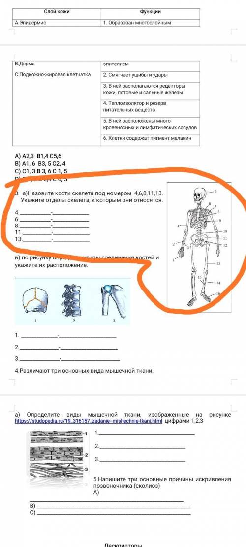 у меня СОР кто шарит в биологии ??? 3 задание