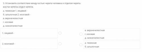 3. Установите соответствие между костью черепа и отделом черепа. КОСТИ ЧЕРЕПА ОТДЕЛ ЧЕРЕПА