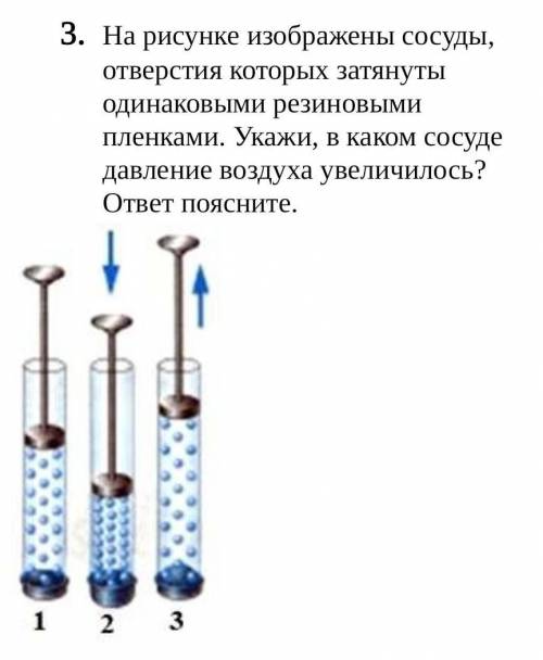 На рисунке изображены сосуды, отверстия которых затянуты одинаковыми резиновыми пленками. Укажи, в к