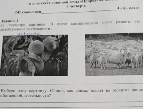 А) Рассмотри картинки. В моliственной деятельностиБ) Выбери одну картинку, она за ауап берування та