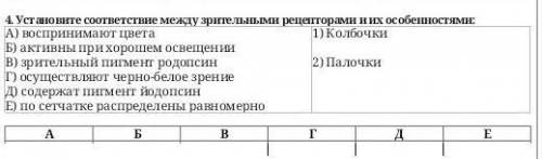 Установите соответствие между зрительными рецепторами и их особенностями ​