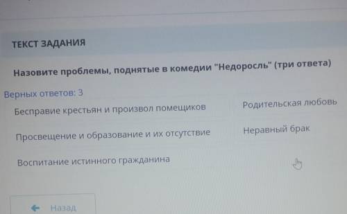 Назовите проблемы поднятые в комедии недоросль​