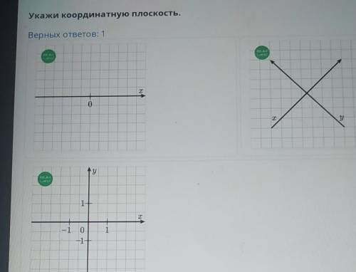 Укажи координатную плоскость. Верных ответов: 1ELIMЕл. мL, ах0хуу1+т1-1 0-1+​