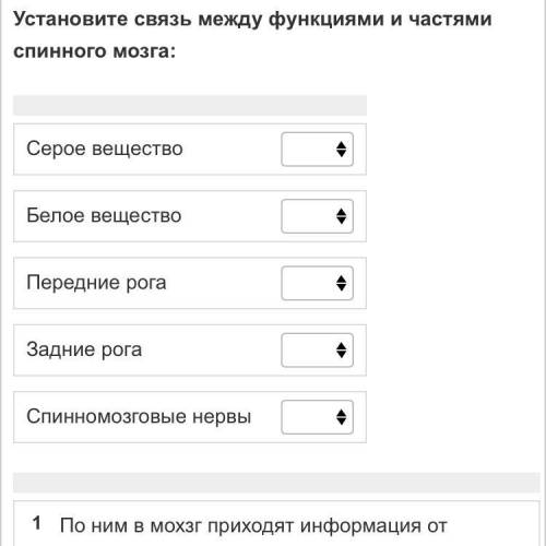 Установите связь между функциями и частями спинного мозга: Серое вещество Белое вещество Передние ро