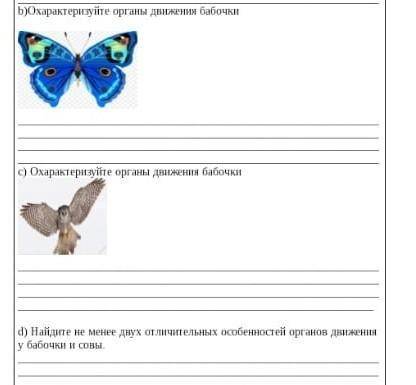 Если что в варианте С опечатка нужно написать про органы движения совы У МЕНЯ СОР! ​