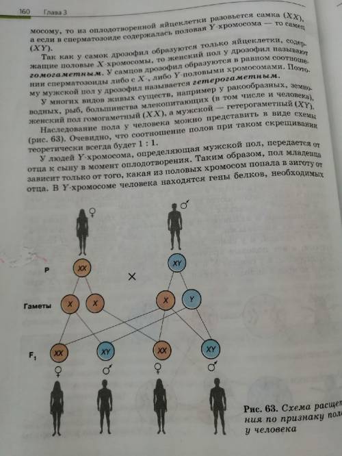 Опишите что происходит на данном рисунке