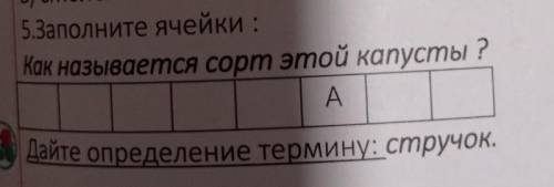 5.Заполните ячейки : Как называется сорт этой капусты ?AДайте определение термину: стручок.5 45. Сем