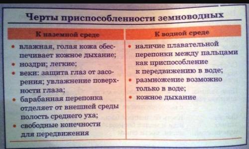 Каковы особенности нервной системы и органов чувств лягушки в связи с жизнью на суше? ​