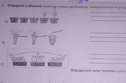 Определи и объясни свойства живых организмов изображённых на рисунках АВС​