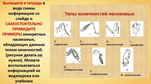 Биология 7 класс с примерами