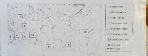 Надо сопоставить месторасположение в России с разделами животноводства или культурами​