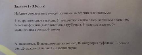 Задание 1 ( ) Найдите соответствие между органами секреции и животным 1 - сужающиеся вакуоли, 2 - зв