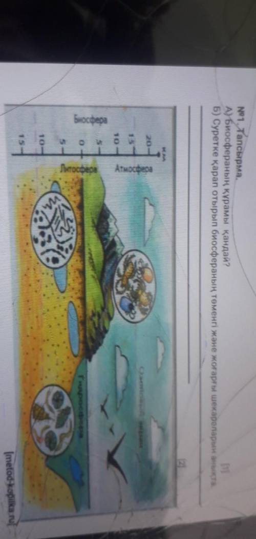 А)биосферанын курамы кандай б)суретке карап отырып биосферанын томенгы жане жогаргы шекараларын анык