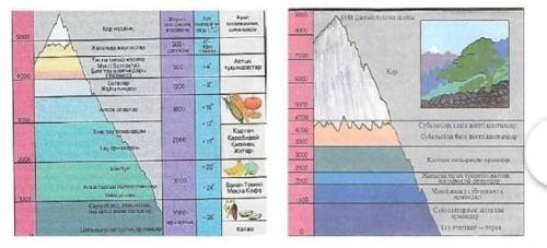 A) Определите количество диапазонов высоты. b) Назовите природную зону у подножия горы.c) Напишите