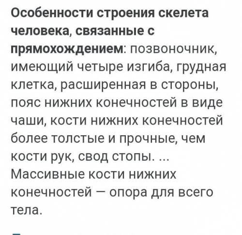 Напишите 5 особенностей строения скелета человека, связанные с прямохождением.