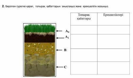 2. Берілген суретке карап, топырақ қабаттарын анықтаңыз және ерекшелігін жазыңыз. көмектесиндерши от