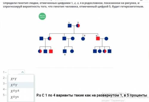 с биологией! Определи генотип людей, отмеченных цифрами 1, 2, 3, 4 в родословной, показанной на рису