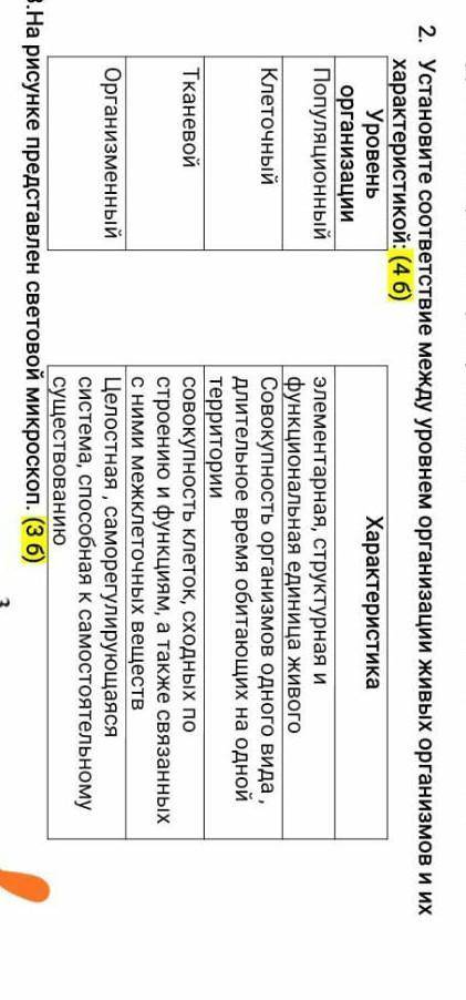 Установите соответствие между уровнем организации живых организмов и их характеристикой​