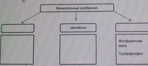 4. Заполните таблицу.Минеральные удобрениякалийныеФосфоритнаямукаСуперфосфат​