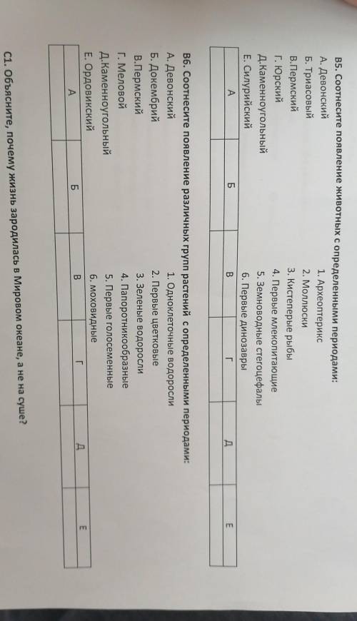 В5. Соотнесите появление животных с определенными периодами: А. Девонский1. АрхеоптериксБ. Триасовый