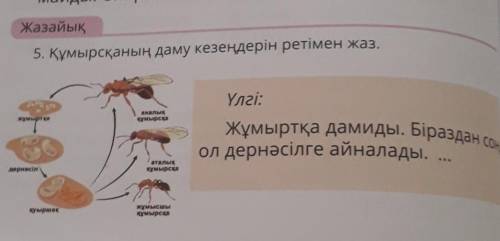 класс дополнить предложения и записать по порядку.Выпишите 2 предложения с үлгі и допишите свои 4 пр