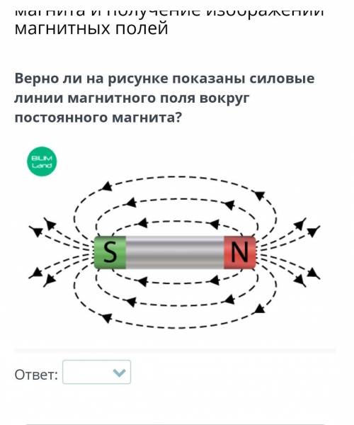 Верно ли на рисунке показаны силовые линии магнитного поля вокруг постоянного магнита?​