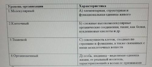 Уровень организации 1. МолекулярныйХарактеристикаA) элементарная, структурная ифункциональная единиц