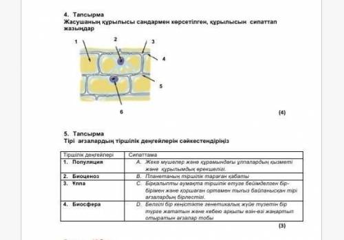 Комектесіндерші отінем берем​