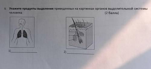 Укажите продукты выдиления привиденых на на картинках органов выдилительной системы​