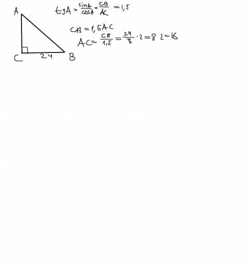 Дан прямоугольник САВ ,СВ=24,С=90° tgA=1,5 Найти АС