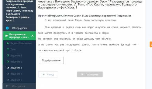 Разрушается природа – разрушается человек. А. Риис «Про Сарли, черепаху с Большого барьерного рифа».