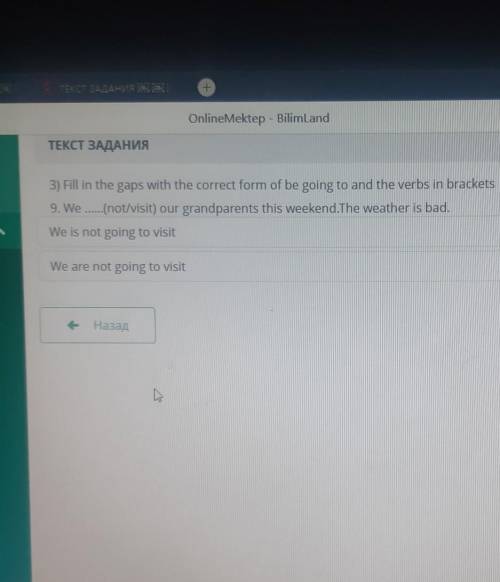 ТЕКСТ ЗАДАНИЯ 3) Fill in the gaps with the correct form of be going to and the verbs in brackets9. W
