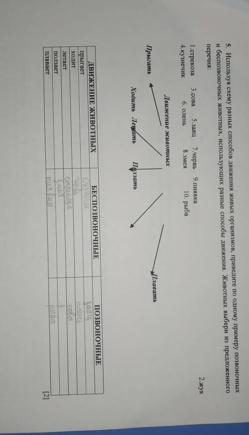 5. Используя схему разных движения живых организмов, приведите по одному примеру позвоночных и беспо