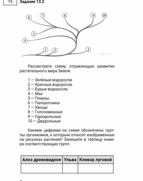 Биология 7 класс решите ​