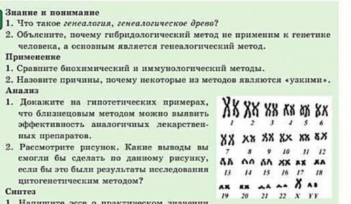 рассмотрите рисунок какие выводы вы смогли бы сделать по данному рисунку если бы это были результаты