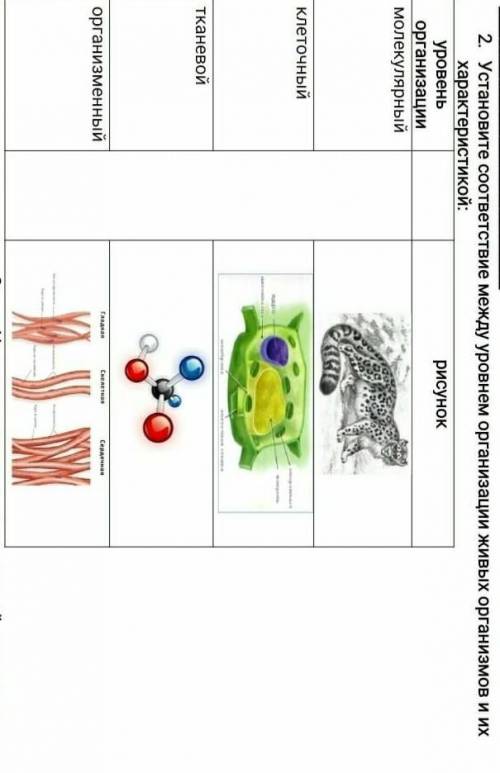 установите соответствие между уровнем организации живых организмов и их характеристики надо :​
