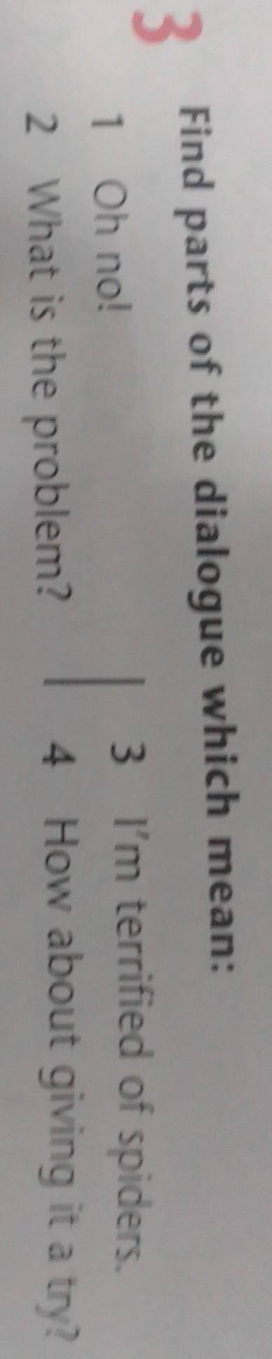 3 Find parts of the dialogue which mean:1 Oh no!2 What is the problem?3 I'm terrified of spiders.4 H