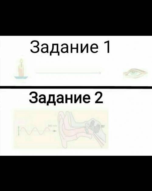 1). Объясните адаптацию к свету, используя этот рисунок. 10 см2) Объясните механизм приема звука с ч