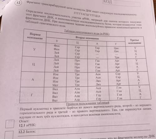 Фрагмент транскрибируемой цепи молекулы ДНК имеет следующую последовательность: ТАГЦГТТГЦЦА Определи