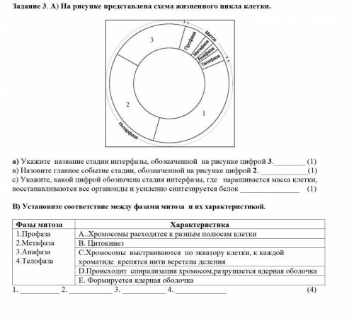 9кл биология сор за ответ типо не знаю бан​