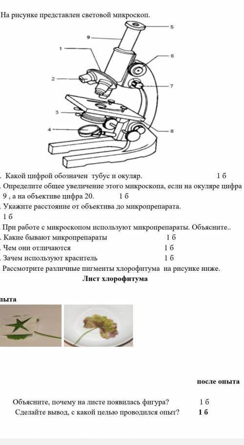 с СОР по естествознанию. Если не видно напишите заранее ​